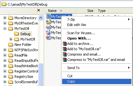 Using Load-Time Dynamic Linking Example: Copying the generated DLL file to the current project folder