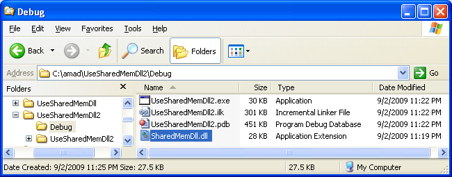 Processes that Use the Shared Memory Program Example 2: Copying the DLL file to the current project's folder