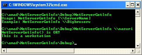 NetServerGetInfo() Program Example: A sample program output