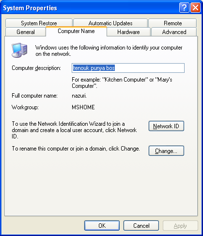 NetServerSetInfo() Program Example: Server or workstation description