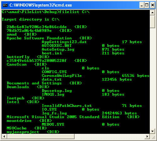 Listing the Files in a Directory Program Example: A sample console program output in action 1
