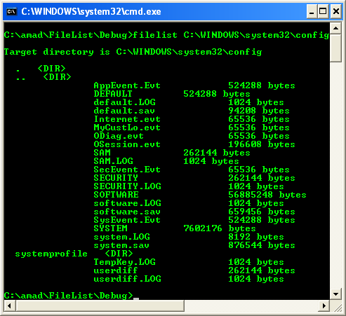 Listing the Files in a Directory Program Example: A sample console program output in action 2
