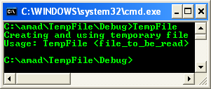 Creating and Using a Temporary File Program Example: A sample console program output in action without any argument