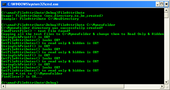 Retrieving and Changing File Attributes: A sample console program output in action