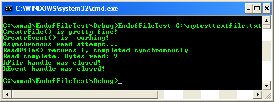 Testing for the End of a File Program Example: A sample console program output in action 2