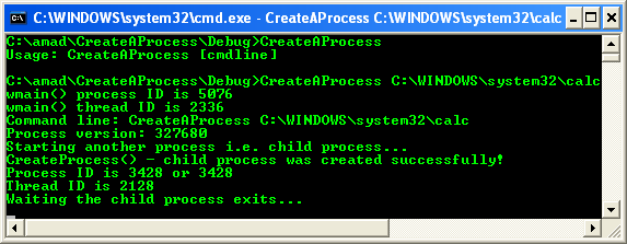 Creating processes code example: A sample console program output in action