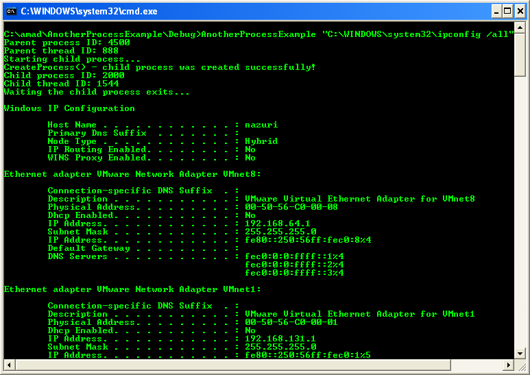Creating Processes Program Example: A sample console program output in action with an argument - ipconfig /all 1