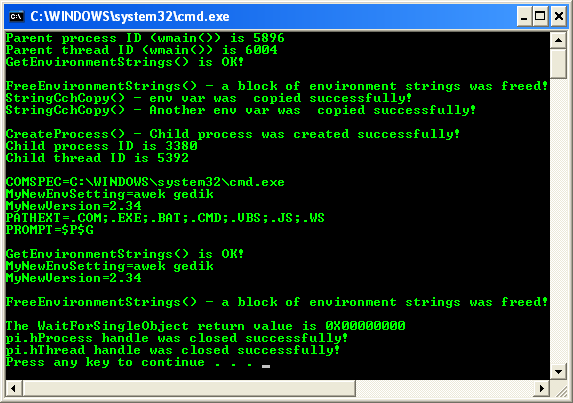 Changing Environment Variables Program Examples: A sample console program output in action with error message 2