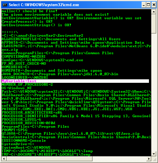 Environment Variables: Program Example 2 - A sample console program output in action 1